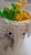 628abf20-5abc-41cc-9193-2cf4a82e1d3b.JPG
